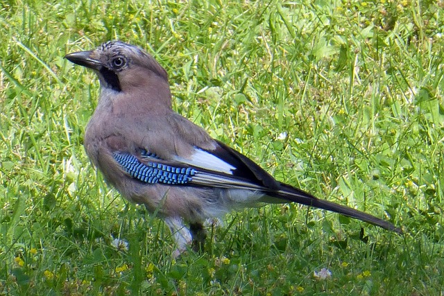 Foto do arquivo: fornecida por 【que horas é o resultado da lotofácil de hoje】