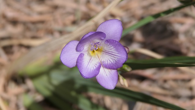 Foto do arquivo: fornecida por 【blog bet365】