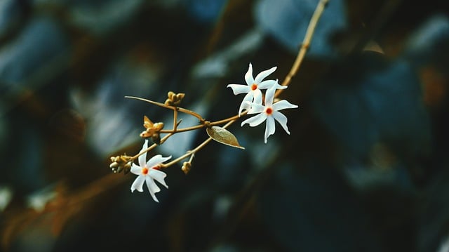 Foto do arquivo: fornecida por 【galera bet login】