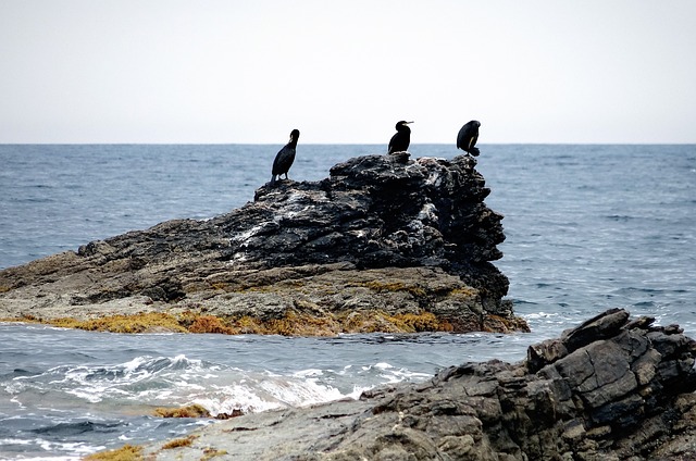 valor acumulado quina