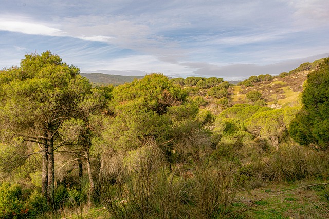 casas de aposta