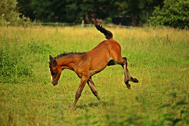 Foto do arquivo: fornecida por 【ganhe dinheiro jogando】