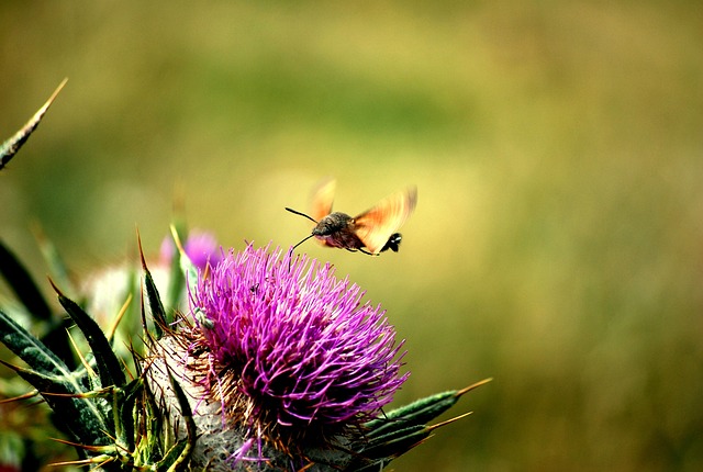 Foto do arquivo: fornecida por 【bet365.】