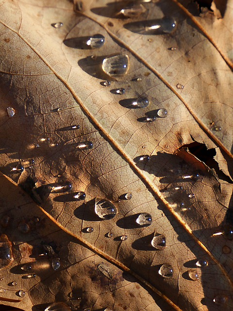 Foto do arquivo: fornecida por 【concurso lotofácil 1352】