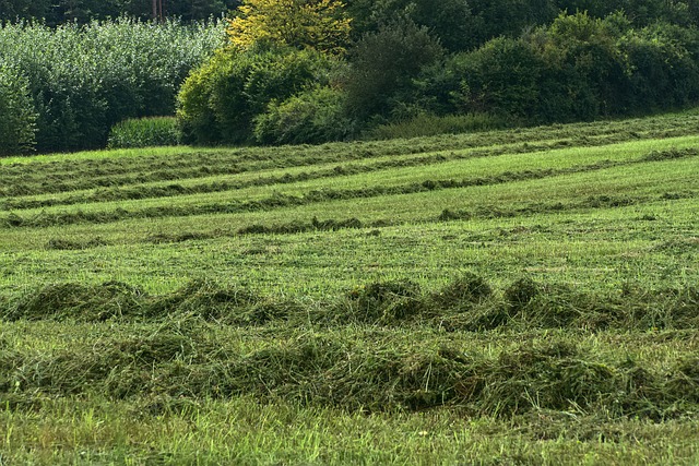 Foto do arquivo: fornecida por 【Último sorteio da Lotofácil】