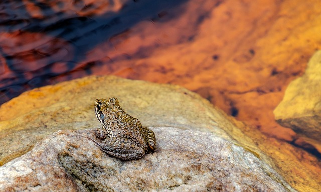 Foto do arquivo: fornecida por 【resultado do jogo do bicho da coruja de ontem】