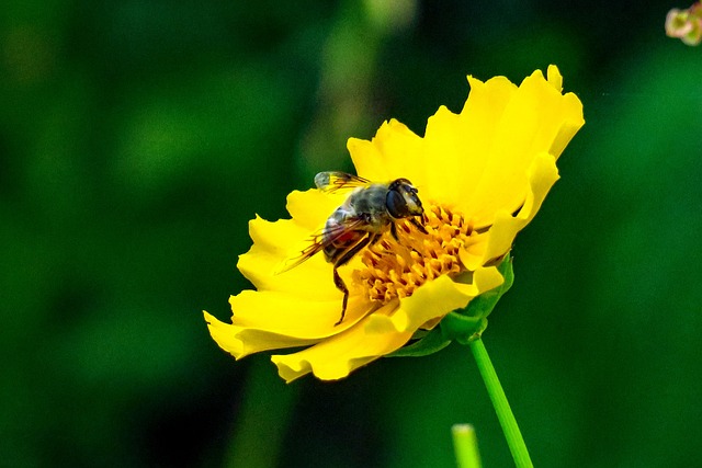 Foto do arquivo: fornecida por 【indiretas para falsas】