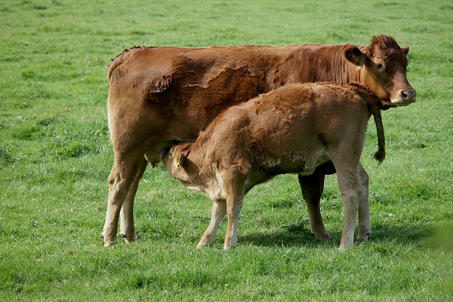 Foto do arquivo: fornecida por 【teve algum ganhador da lotofácil hoje】