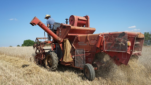 Foto do arquivo: fornecida por 【resultado da mega sena 15 11】