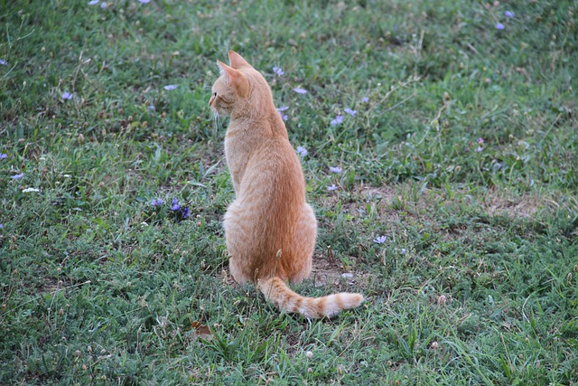 Empréstimo rápido e descomplicado no pix para negativado