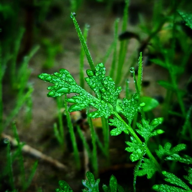 Foto do arquivo: fornecida por 【ganhou devido ao pagamento antecipado betano】