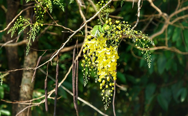 Foto do arquivo: fornecida por 【brt365】