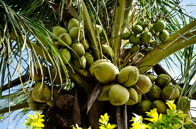 Foto do arquivo: fornecida por 【Como realizar $100 reais por pix agora】