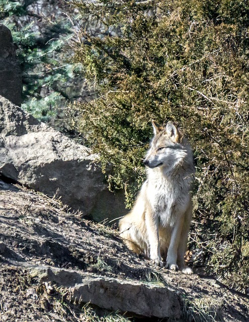 Foto do arquivo: fornecida por 【Sistema digital novo de cassino recompensando cadastro】