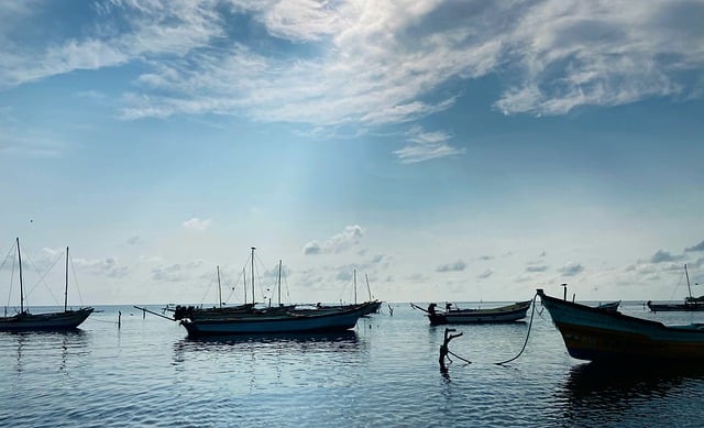 Foto do arquivo: fornecida por 【jogo de pênalti jogo de pênalti】