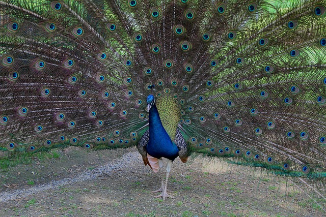 Foto do arquivo: fornecida por 【resultado da loteria federal de 03 12 22】