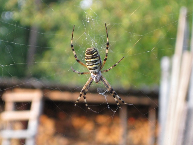 Foto do arquivo: fornecida por 【aposta certa loteria】