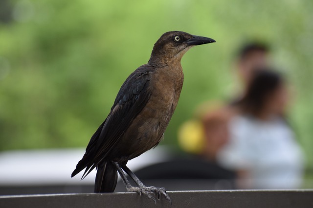 Foto do arquivo: fornecida por 【resultado loteria paraiba】