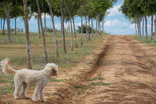 Foto do arquivo: fornecida por 【SORTE ONLINE】