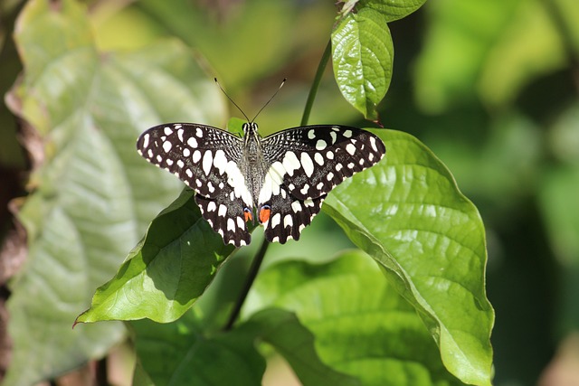 Foto do arquivo: fornecida por 【tricast bet365】