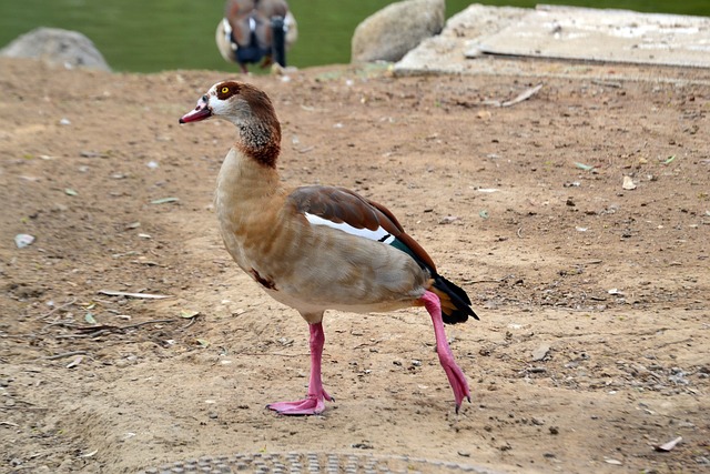 Foto do arquivo: fornecida por 【resultado jogo do bicho da federal de sábado】