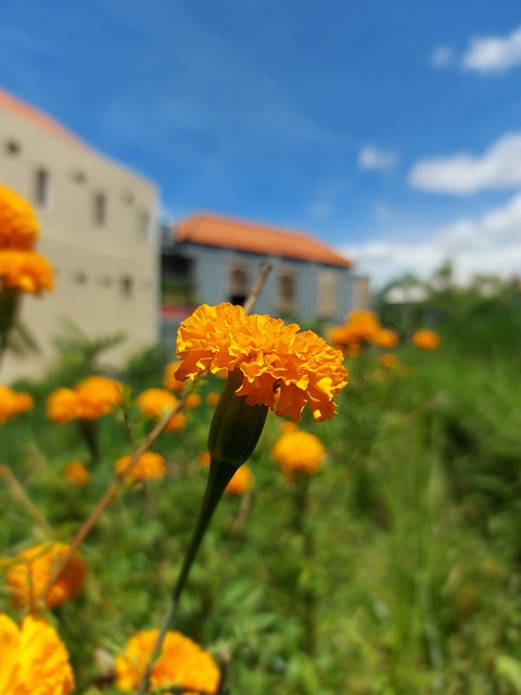 Foto do arquivo: fornecida por 【palpite jogo do bicho loterias】