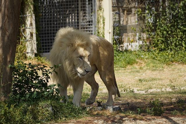 Foto do arquivo: fornecida por 【jogos de sobrevivencia na selva online】