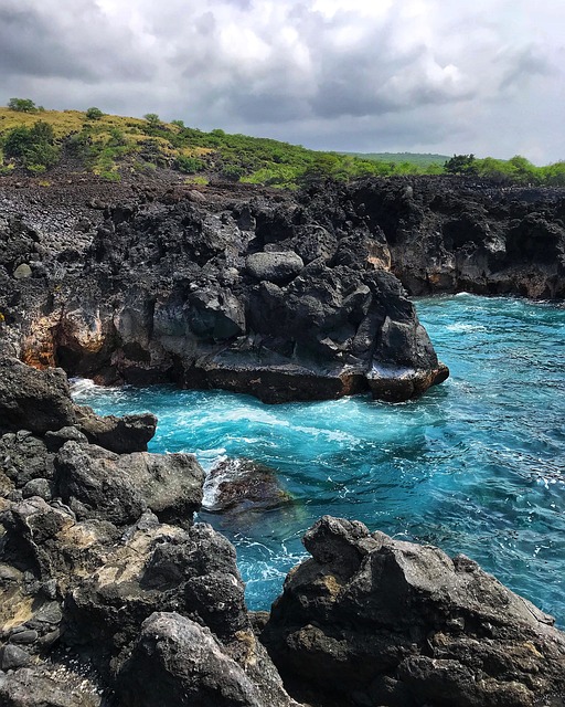 biologa marinha