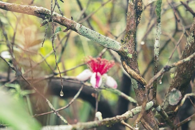 Foto do arquivo: fornecida por 【Resultado do sorteio da Lotofácil de hoje】