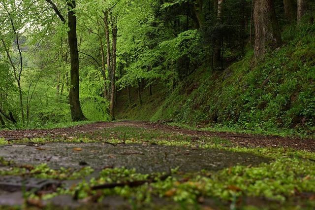 Foto do arquivo: fornecida por 【hirschholm slot】