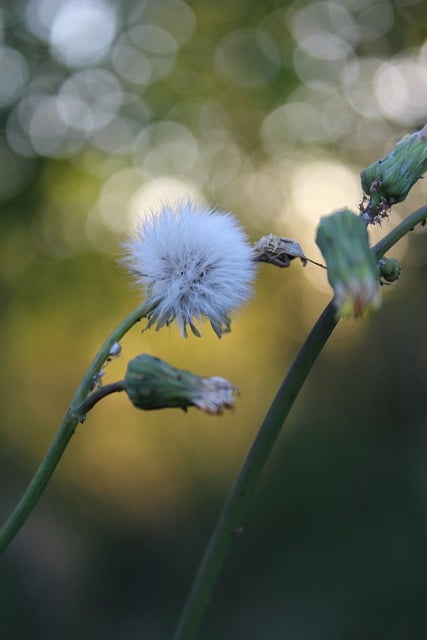 Foto do arquivo: fornecida por 【resultado quina 5846】