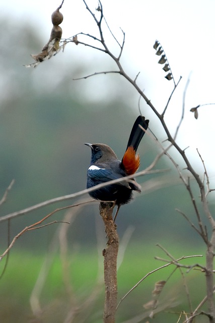 Foto do arquivo: fornecida por 【resultado lotofácil 2228】