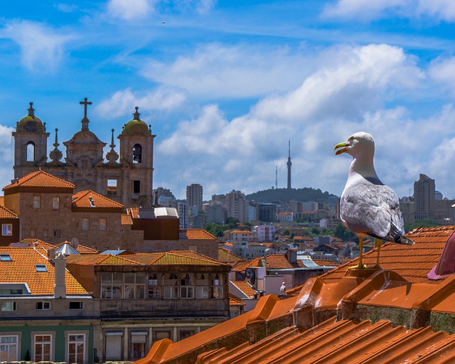 Foto do arquivo: fornecida por 【ber365】