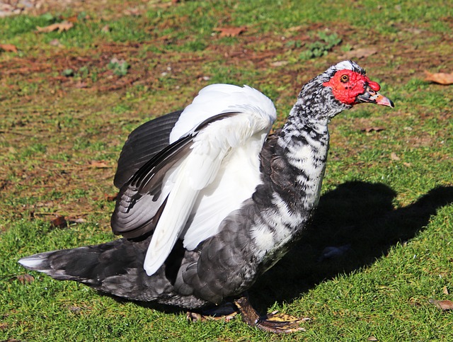 Foto do arquivo: fornecida por 【resultado da quina 5980】