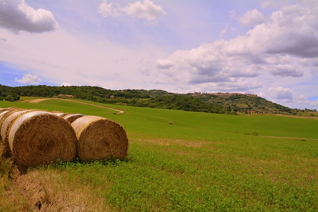 Foto do arquivo: fornecida por 【giros grátis】