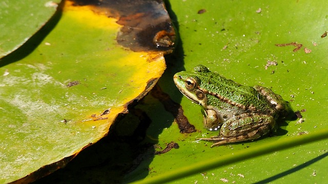 Foto do arquivo: fornecida por 【luckyland】