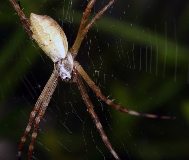 Foto do arquivo: fornecida por 【resultado da loteria dos sonhos de ontem 7 horas】