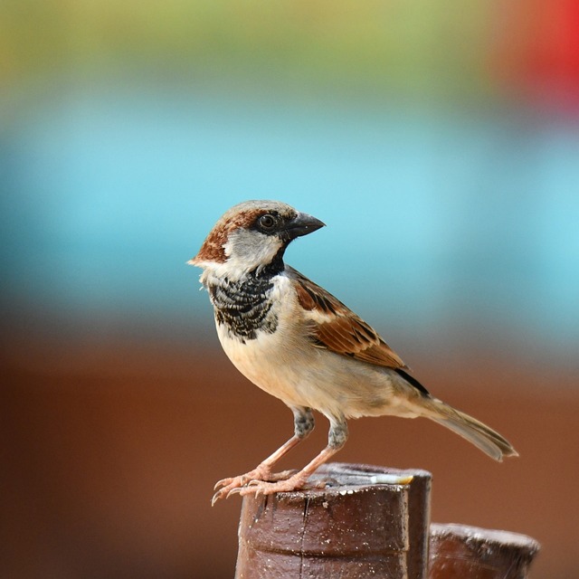 Foto do arquivo: fornecida por 【Dinheiro rápido de 300 reais pelo pix】