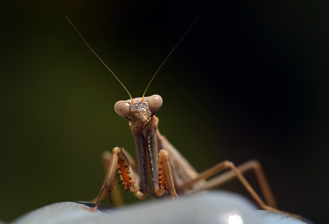 Foto do arquivo: fornecida por 【resultado da lotofácil do dia 31 do 8】