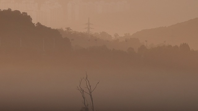 Foto do arquivo: fornecida por 【mega sena jogo】