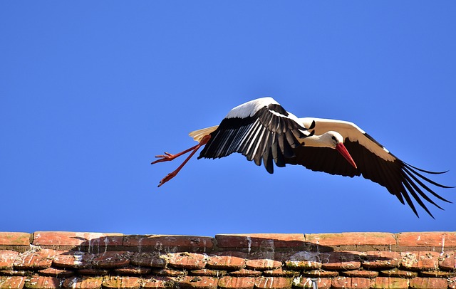 Foto do arquivo: fornecida por 【qual o preço para jogar na lotofácil】