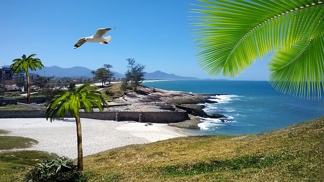 Resultado de hoje do jogo do bicho