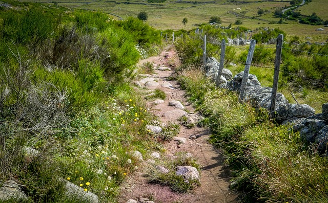 Foto do arquivo: fornecida por 【quando da lotofácil】