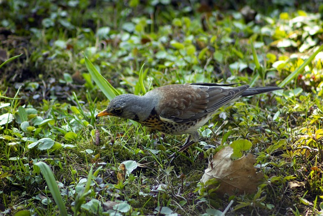 Foto do arquivo: fornecida por 【como ganhar dinheiro facil】