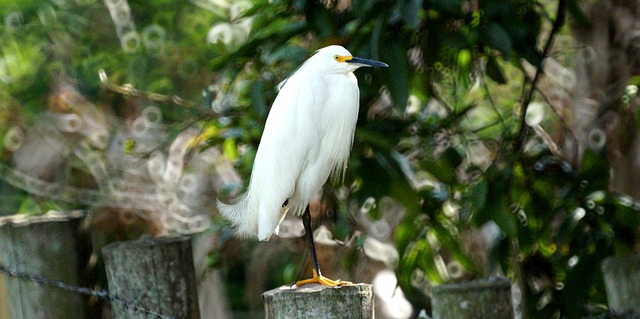 Foto do arquivo: fornecida por 【frankcasino】