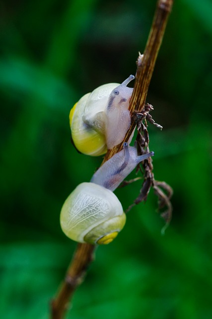 Foto do arquivo: fornecida por 【beats 365】