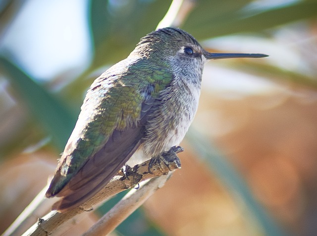 Foto do arquivo: fornecida por 【rollex11】