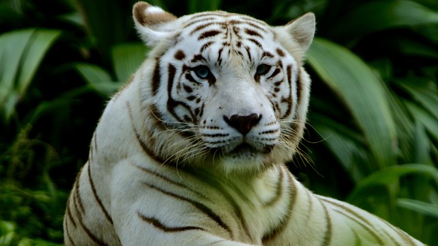 Foto do arquivo: fornecida por 【resultado jogo do bicho da federal de sábado】