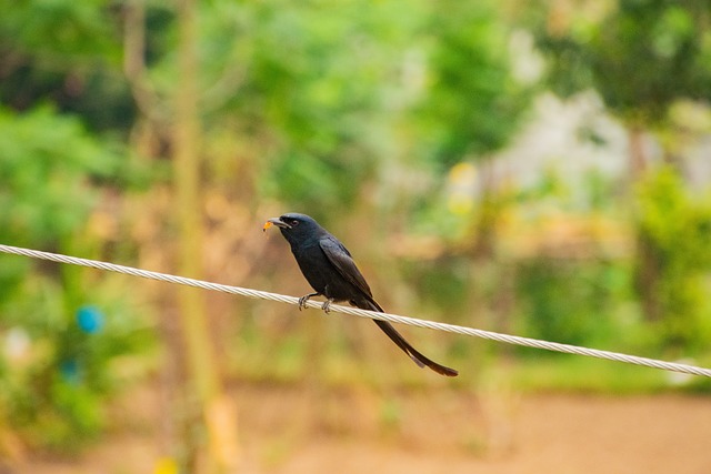 Foto do arquivo: fornecida por 【tigrinho aposta】