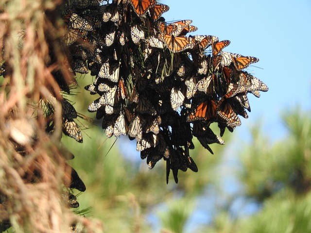 Foto do arquivo: fornecida por 【mega sena conc 2191】